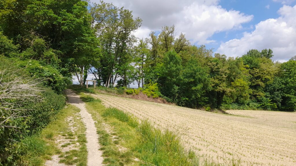 studio-chez-flo (12)