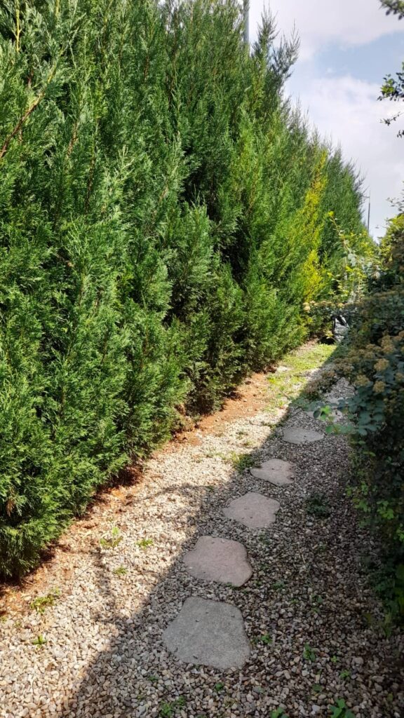 studio-chez-flo (14)