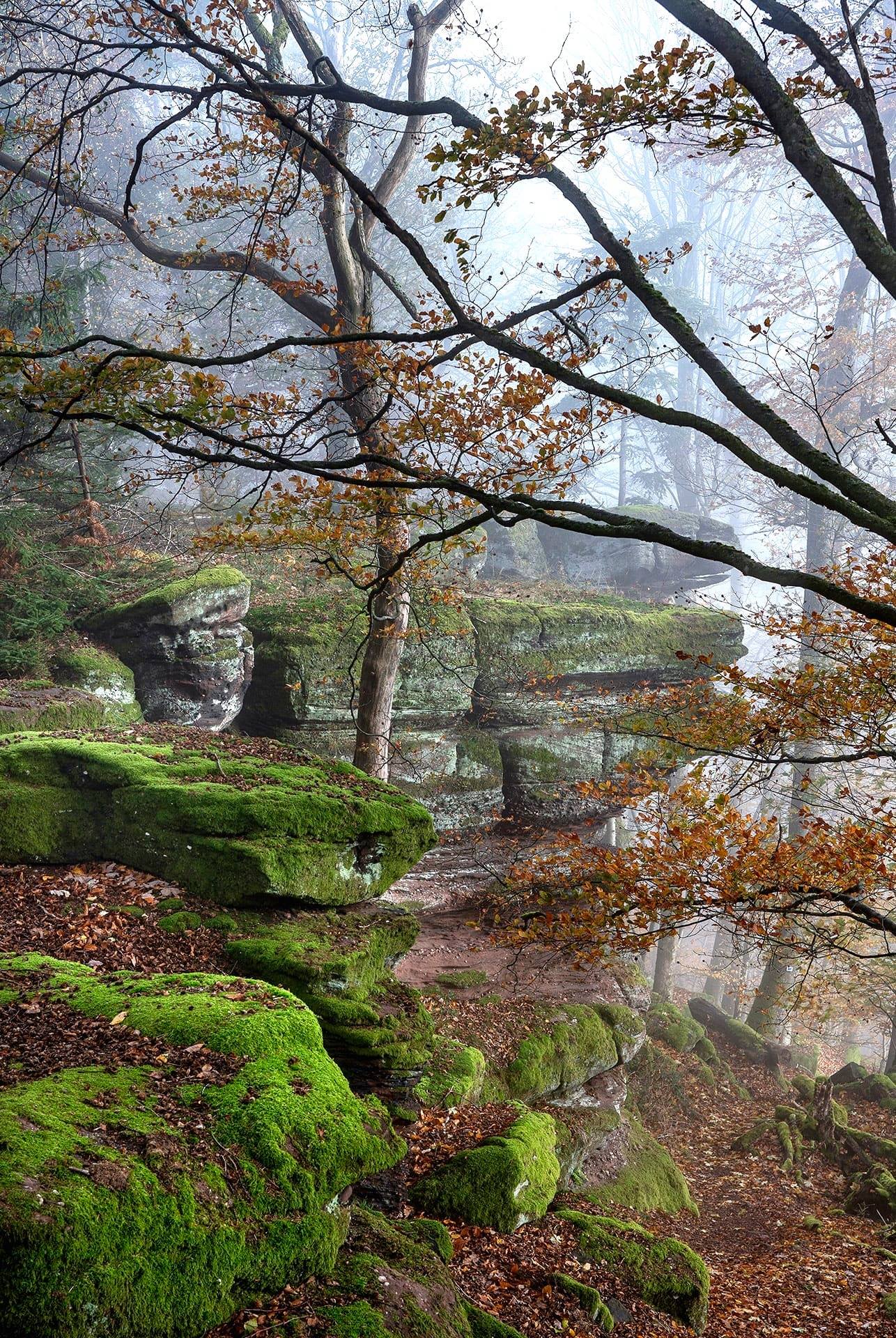 les joyaux de la région (2)